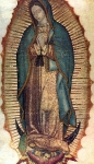 Our Lady of Guadalupe picture